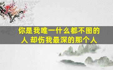 你是我唯一什么都不图的人 却伤我最深的那个人